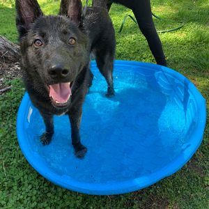 Meet your Posher, William